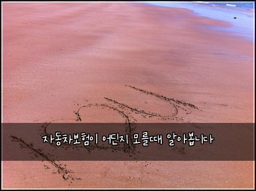 ์๋์ฐจ๋ณดํ์ด ์ด๋์ง ๋ชจ๋ฅผ๋ ์์๋ด
๋๋ค