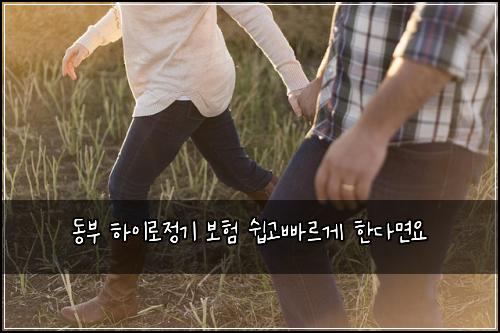 동부 하이로정기 보험 쉽고빠르게  한다면요