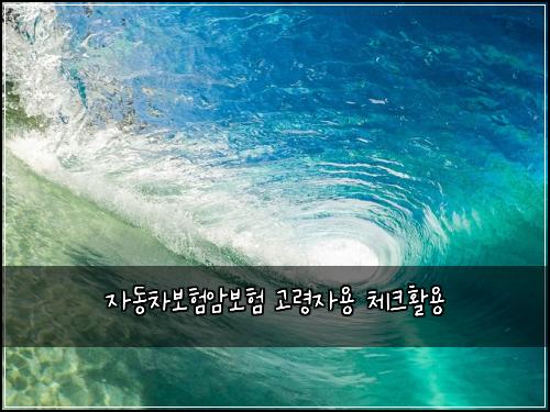 자동차보험암보험 고령자용 체크활용