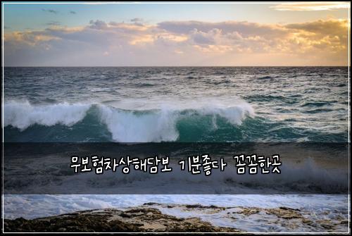 무보험차상해담보 기분좋다 꼼꼼한곳
