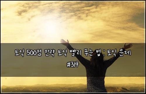 토익 500점 전략 토익 빨리 푸는 법 : 토익 문제 #314