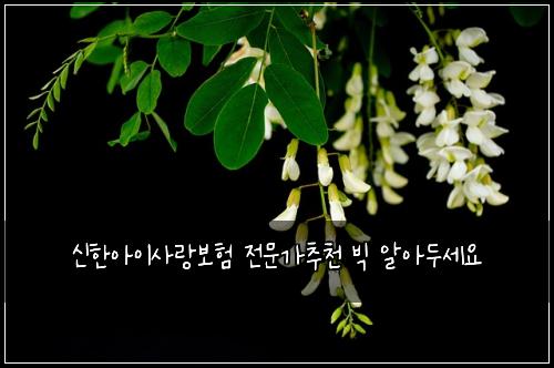 ์ ํ์์ด์ฌ๋๋ณดํ ์ ๋ฌธ๊ฐ์ถ์ฒ ๋น
์์๋์ธ์