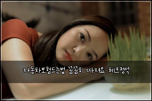 자동차보험드는법 꼼꼼히 따져요 체크정석