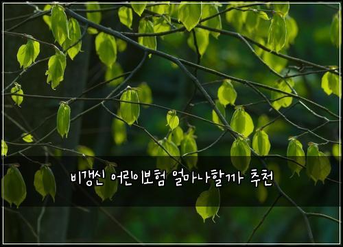 비갱신 어린이보험 얼마나할까  추천