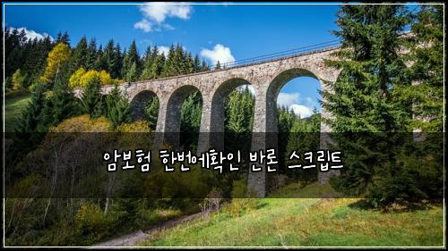 암보험 한번에확인  반론 스크립트