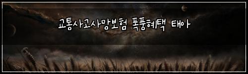 교통사고사망보험 폭풍혜택  태아