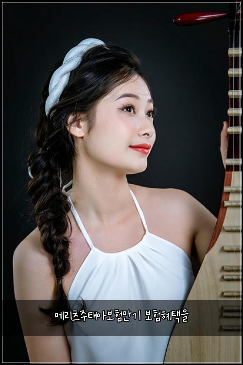 ๋ฉ๋ฆฌ์ธ ์ฃผํ์๋ณดํ๋ง๊ธฐ ๋ณดํํํ์