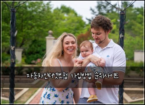 자동차인터넷보험 가입방법  순위사이트