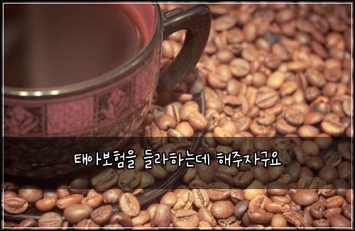 태아보험을 들라하는데 해주자구요