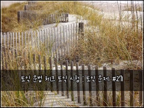 토익 문법 체크 토익 시험 : 토익 문제 #271