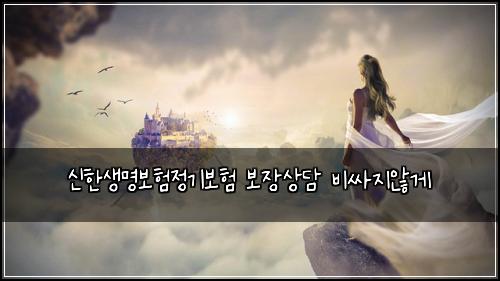 신한생명보험정기보험 보장상담 비싸지않게