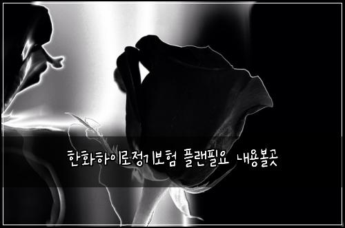 한화하이로정기보험 플랜필요  내용볼곳