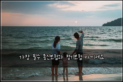 가장 필수 종신보험과 정기보험 마끼세요