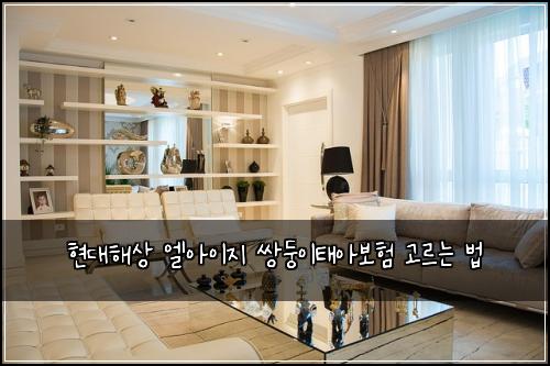 현대해상 엘아이지 쌍둥이태아보험 고르는 법