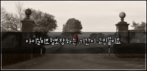 아이실비보험보장하는 기간이 고민끝이요
