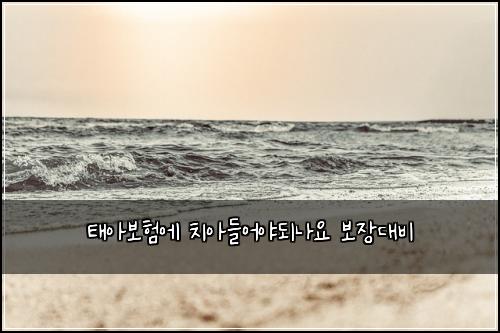 νμ보νμ μΉμλ€μ΄μΌλλμ 보μ₯λλΉ