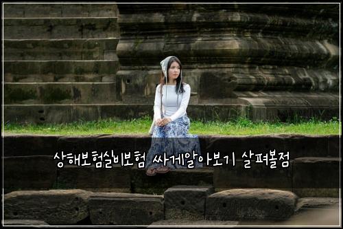 ์ํด๋ณดํ์ค๋น๋ณดํ ์ธ๊ฒ์์๋ณด๊ธฐ ์ดํด๋ณผ์ 