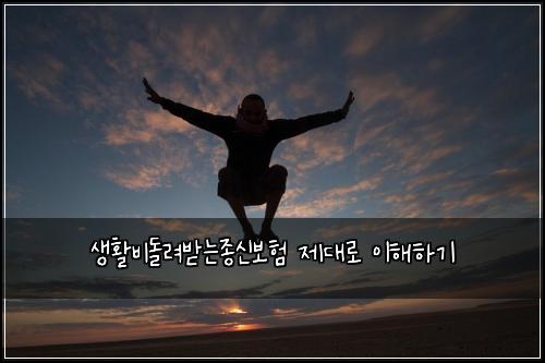 생활비돌려받는종신보험 제대로 이해하기