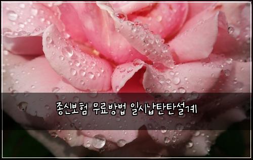 ์ข
์ ๋ณดํ ๋ฌด๋ฃ๋ฐฉ๋ฒ ์ผ์๋ฉํํ์ค๊ณ