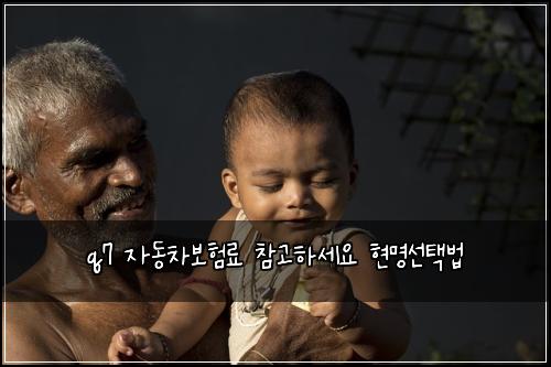 q7 μλ차보νλ£ μ°Έκ³ νμΈμ νλͺ
μ νλ²