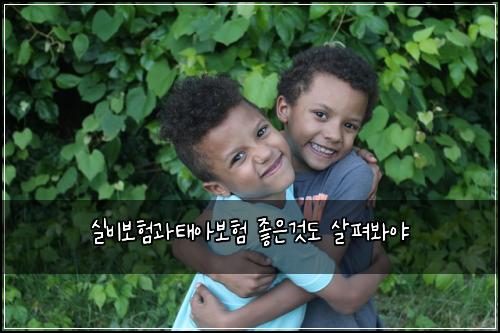 ์ค๋น๋ณดํ๊ณผํ์๋ณดํ ์ข์๊ฒ๋ ์ดํด๋ด์ผ