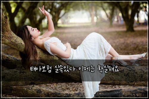 ํ์๋ณดํ ์ค์์๋ค ์ด์ ๋ ํ์คํด์