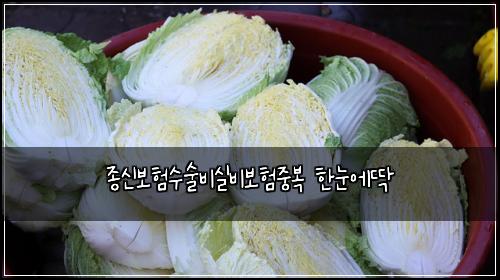 종신보험수술비실비보험중복 한눈에딱