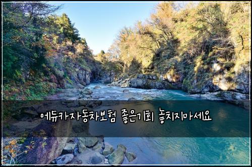 ์๋์นด์๋์ฐจ๋ณดํ ์ข์๊ธฐํ ๋์น์ง๋ง์ธ์