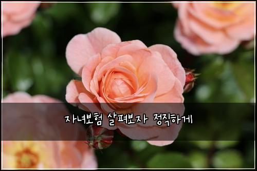 μλ
보ν μ΄ν΄λ³΄μ μ μ§νκ²
