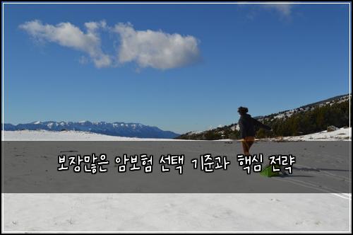 보장많은 암보험 선택 기준과 핵심 전략