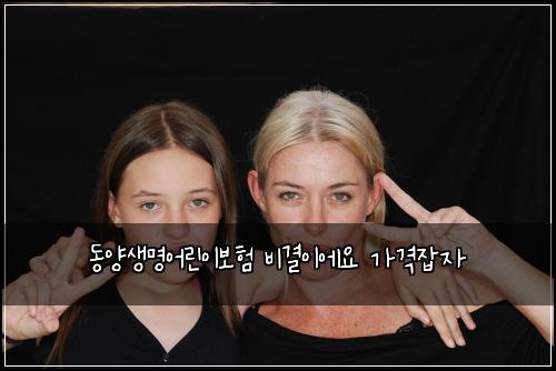 동양생명어린이보험 비결이에요  가격잡자