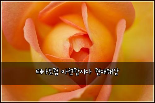 태아보험 마련합시다  현대해상 