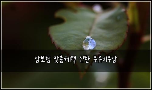 ์๋ณดํ ๋ง์ถคํํ ์ ํ ๋ฌด์ ๋น๋ฌด์