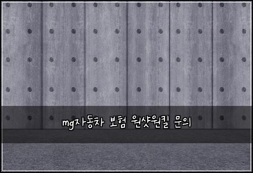 mg์๋์ฐจ ๋ณดํ ์์ท์ํฌ ๋ฌธ์
