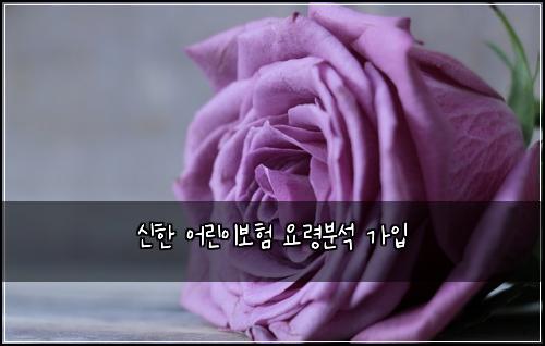 신한 어린이보험 요령분석  가입