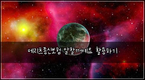 메리츠종신보험 알찰꺼예요  활용하기