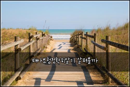 태아보험정확히알기 살펴볼까