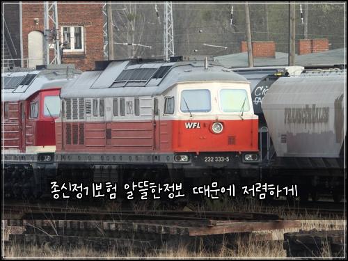종신정기보험 알뜰한정보  때문에 저렴하게