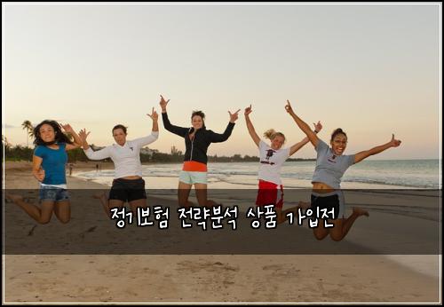 정기보험 전략분석  상품 가입전