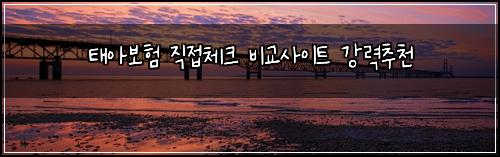 태아보험 직접체크  비교사이트 강력추천
