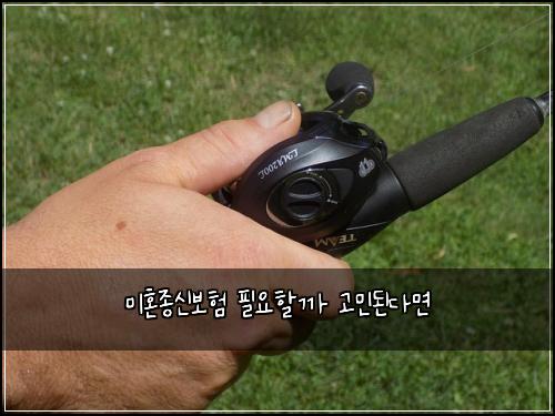 미혼종신보험 필요할까 고민된다면