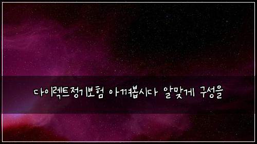 다이렉트정기보험 아껴봅시다  알맞게 구성을