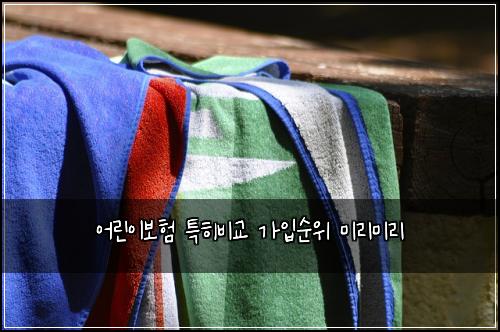 어린이보험 특히비교  가입순위 미리미리