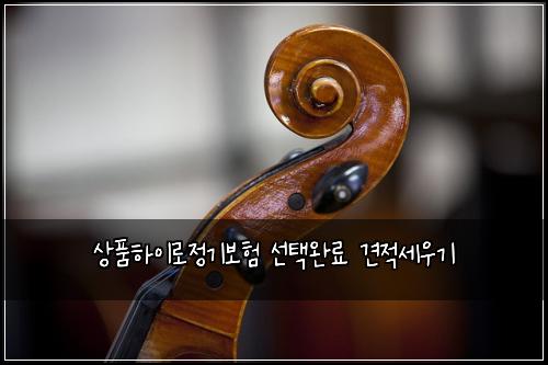 상품하이로정기보험 선택완료  견적세우기