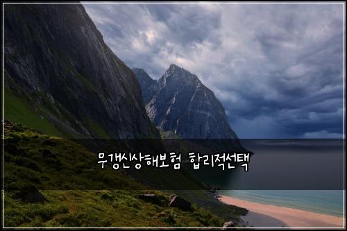 무갱신상해보험 합리적선택 