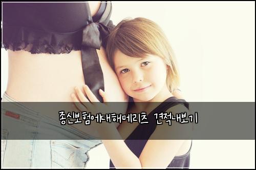 ์ข
์ ๋ณดํ์๋ํด๋ฉ๋ฆฌ์ธ ๊ฒฌ์ ๋ด๋ณด๊ธฐ
