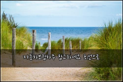 ์๋์ฐจ๋ณดํ์ฐจ์ฃผ ์ฐธ๊ณ ํ์ธ์ ์ต์ ์ผ๋ก