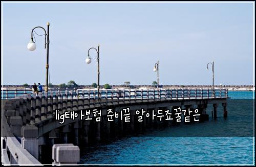 lig태아보험 준비끝  알아두죠꿀같은