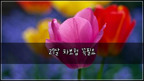 27살 차보험 꼭필요 