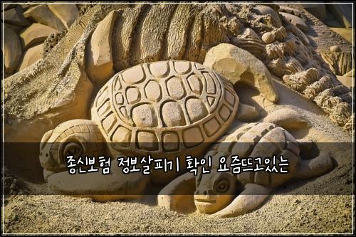 종신보험 정보살피기  확인 요즘뜨고있는